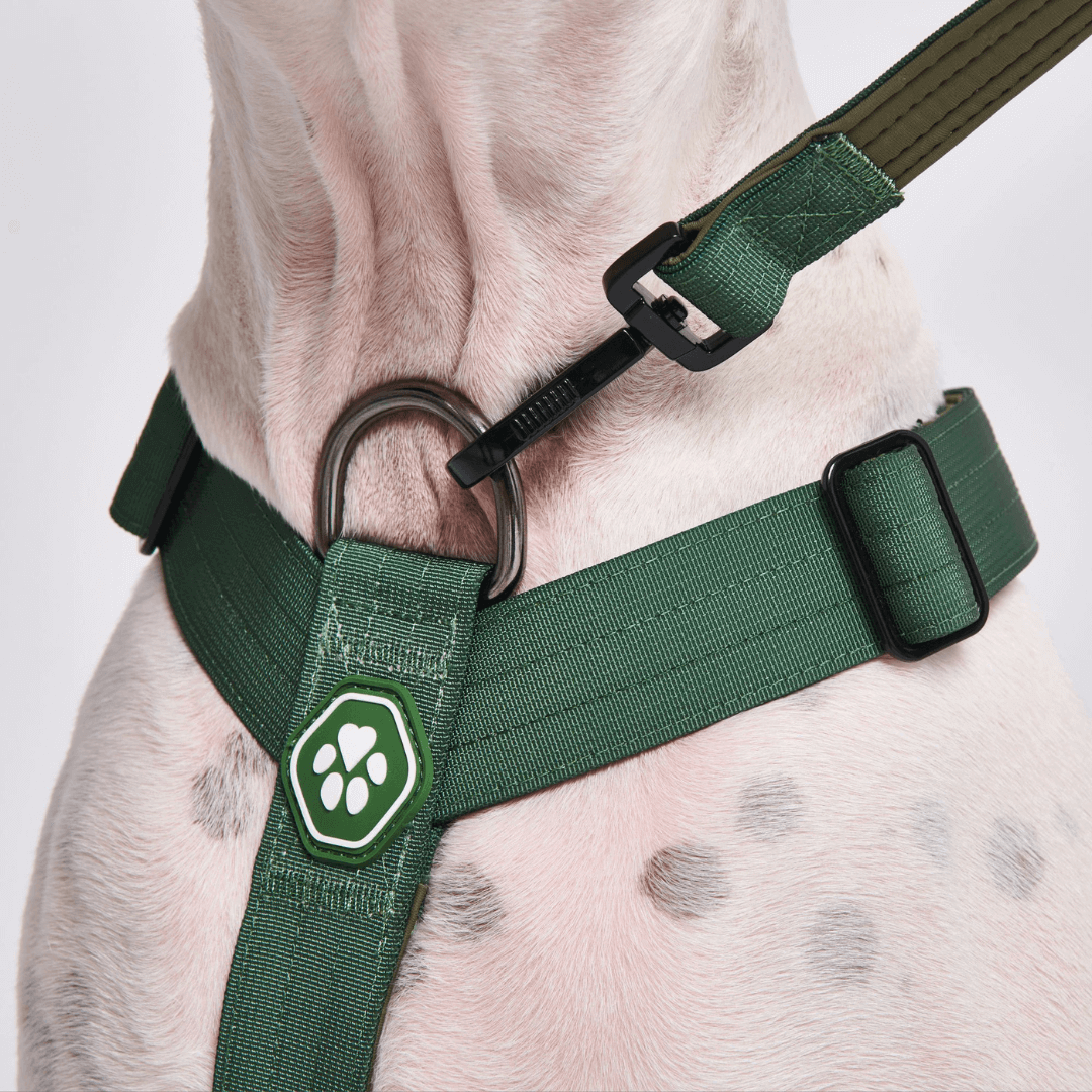 Comfort Control No-Pull Dog Harnesses