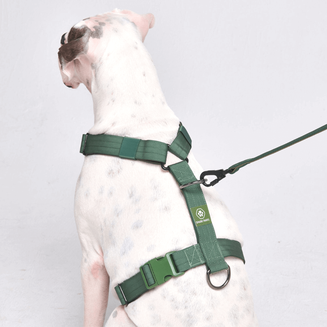 Comfort Control No-Pull Dog Harnesses