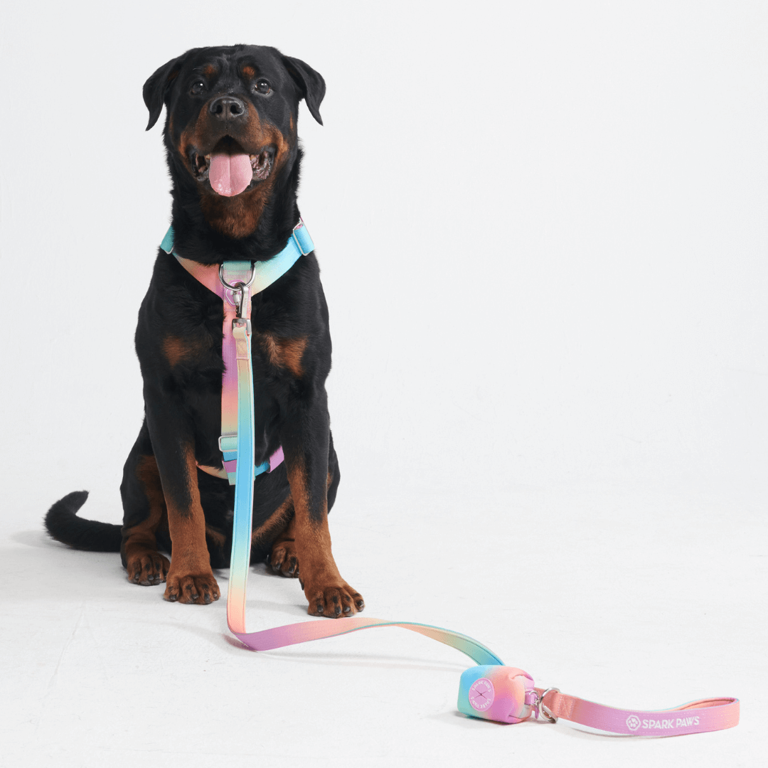 Comfort Control No-Pull Dog Harnesses