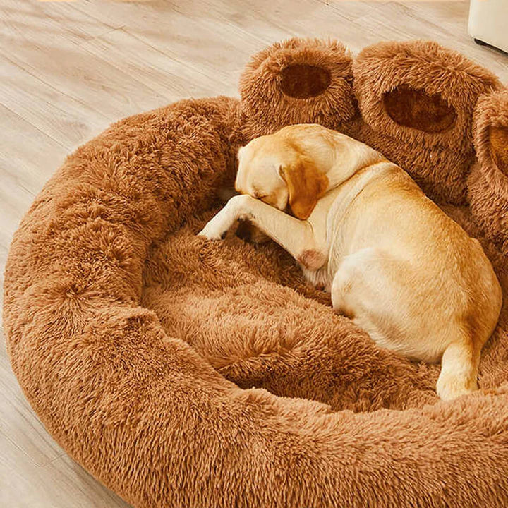 Calming Bear Paw Bed for Pets