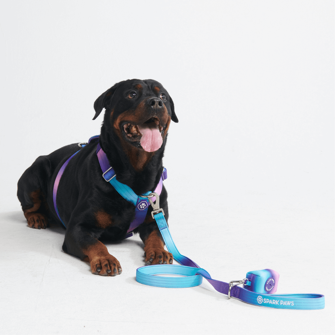 Comfort Control No-Pull Dog Harnesses