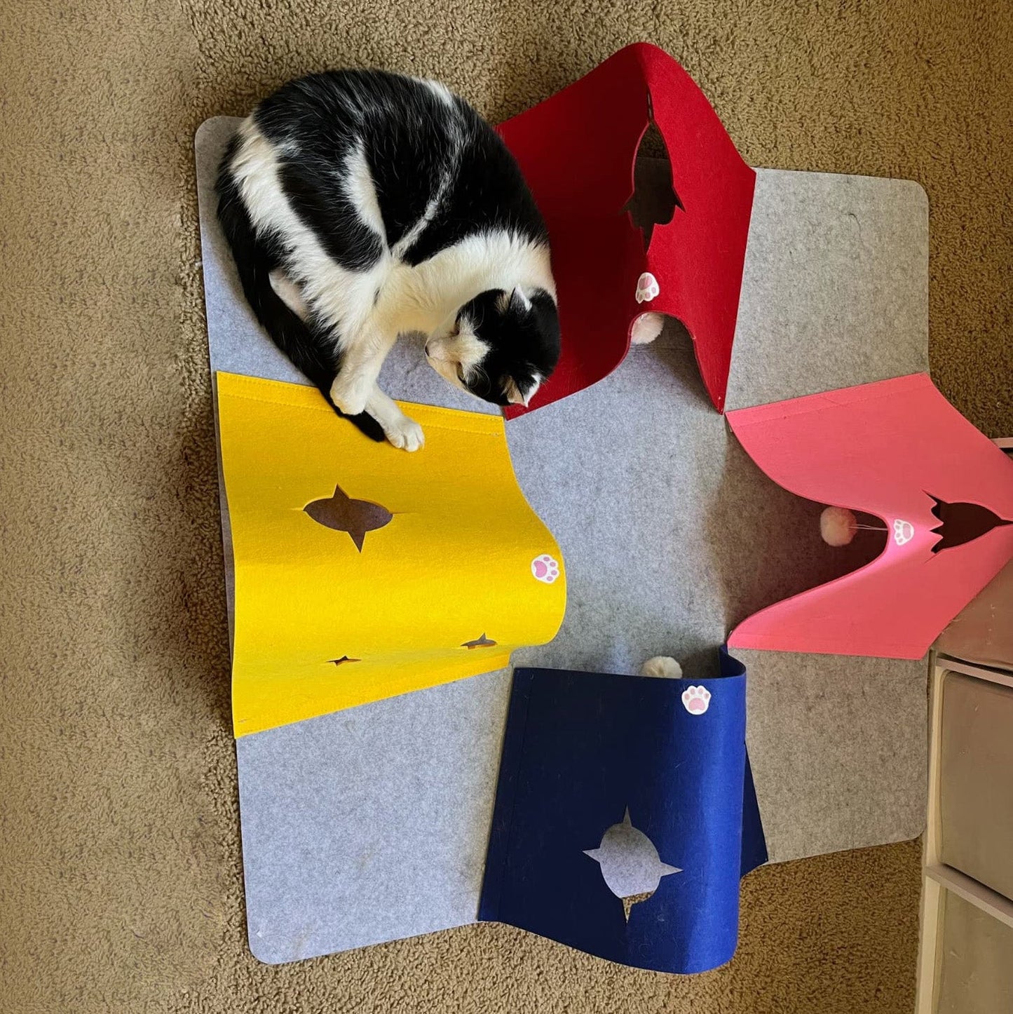 Cat Activity Play Mat