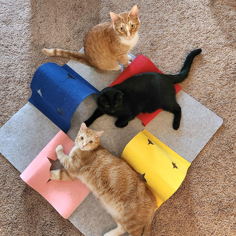 Cat Activity Play Mat