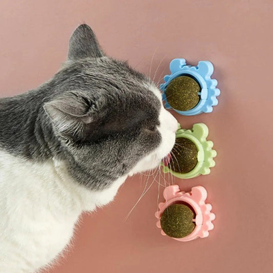 CATNIP WALL BALL