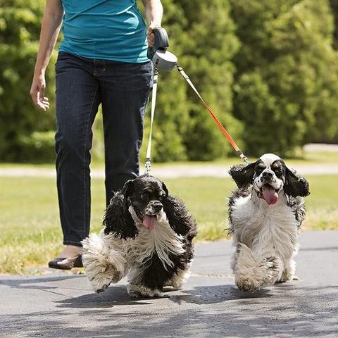 Dual Retractable Dog Leash with Flashlight & Waste Bag Holder