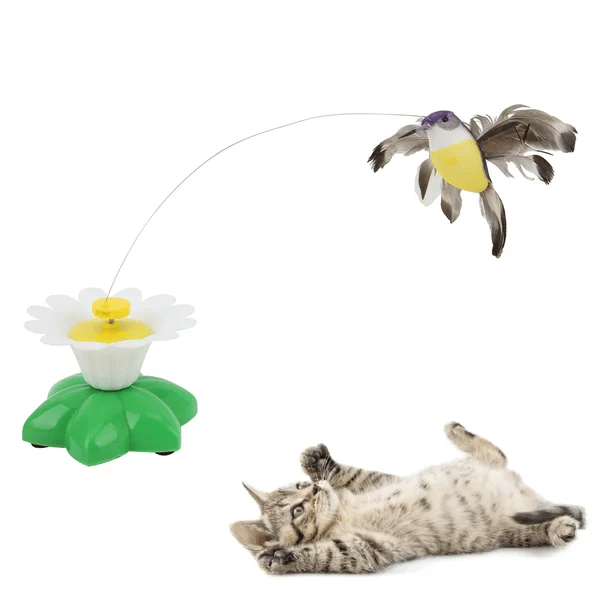 Electric Bird Teasing Cat Toys