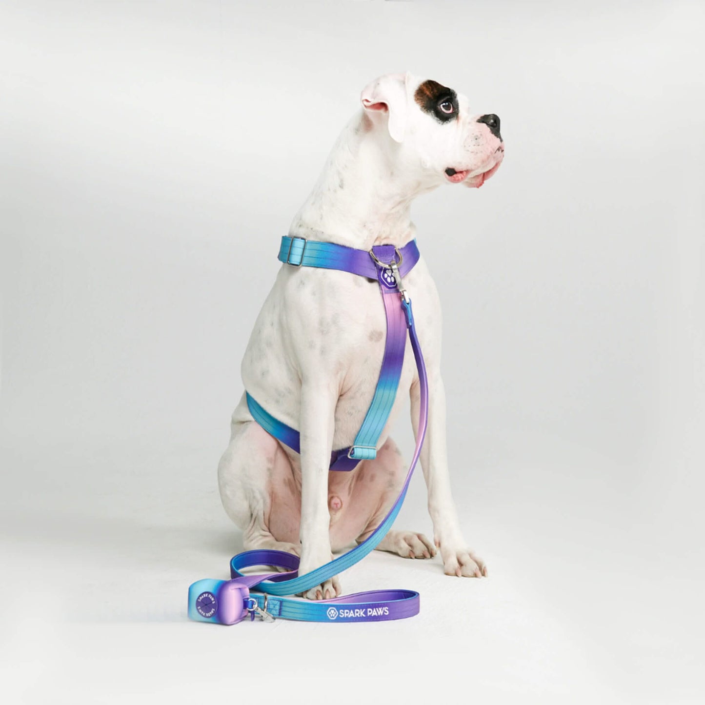 Comfort Control No-Pull Dog Harnesses