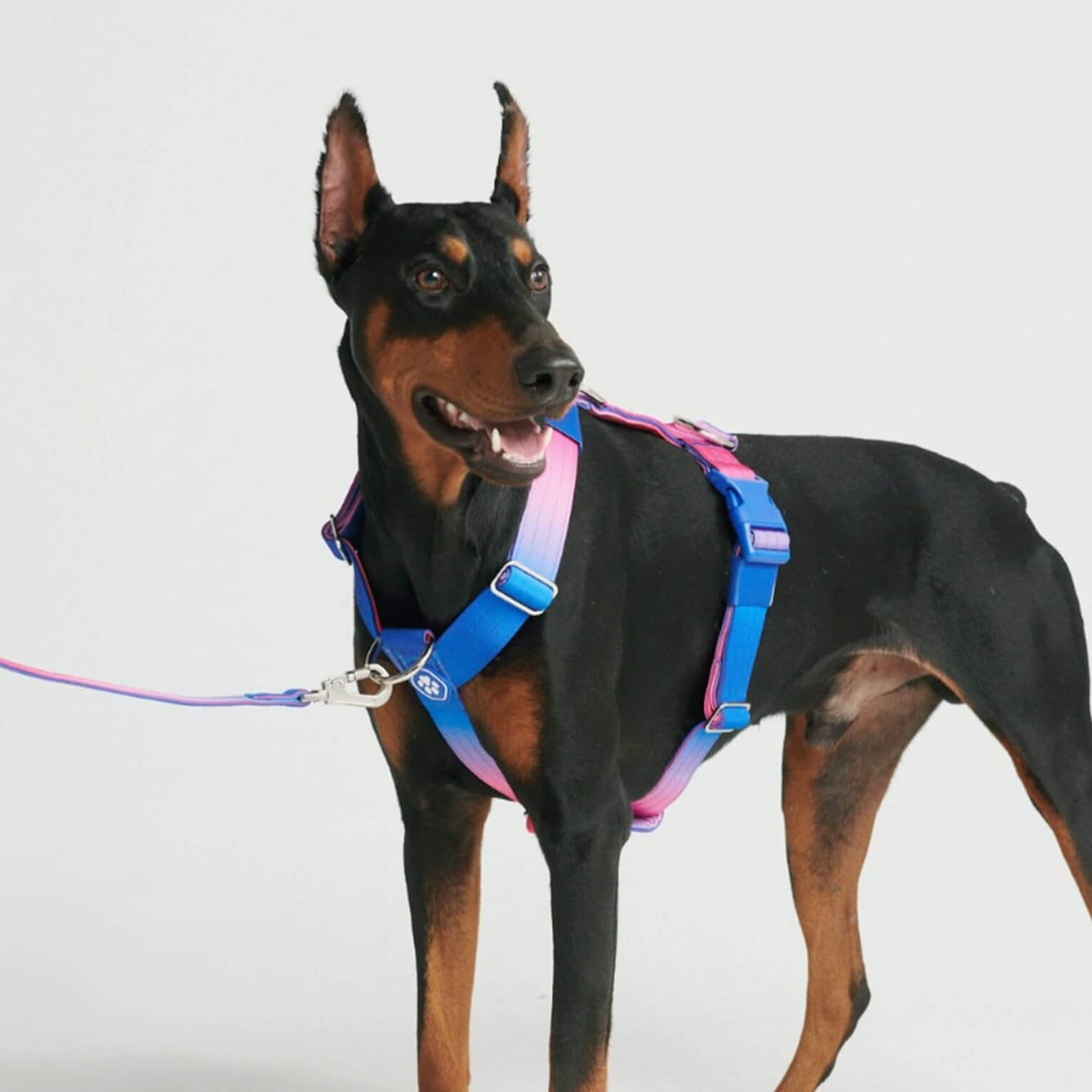 Comfort Control No-Pull Dog Harnesses