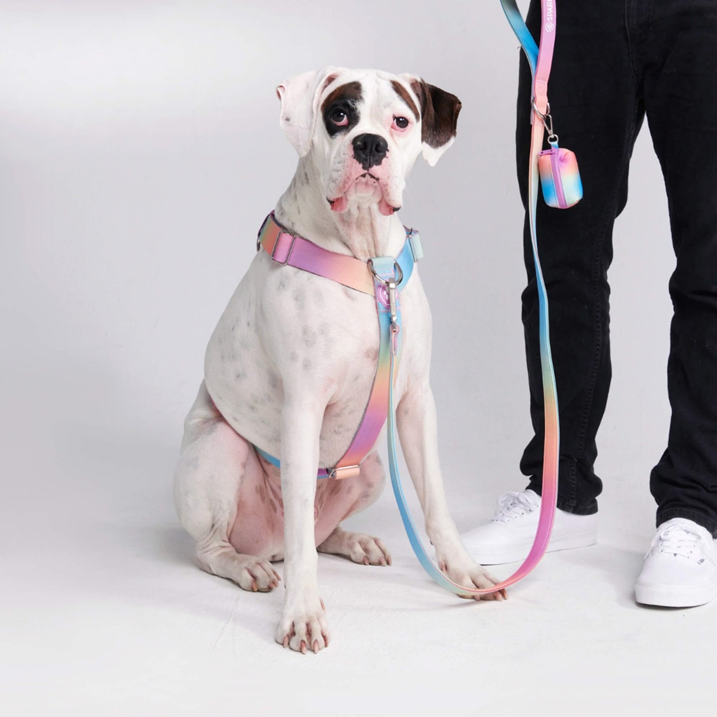 Comfort Control No-Pull Dog Harnesses