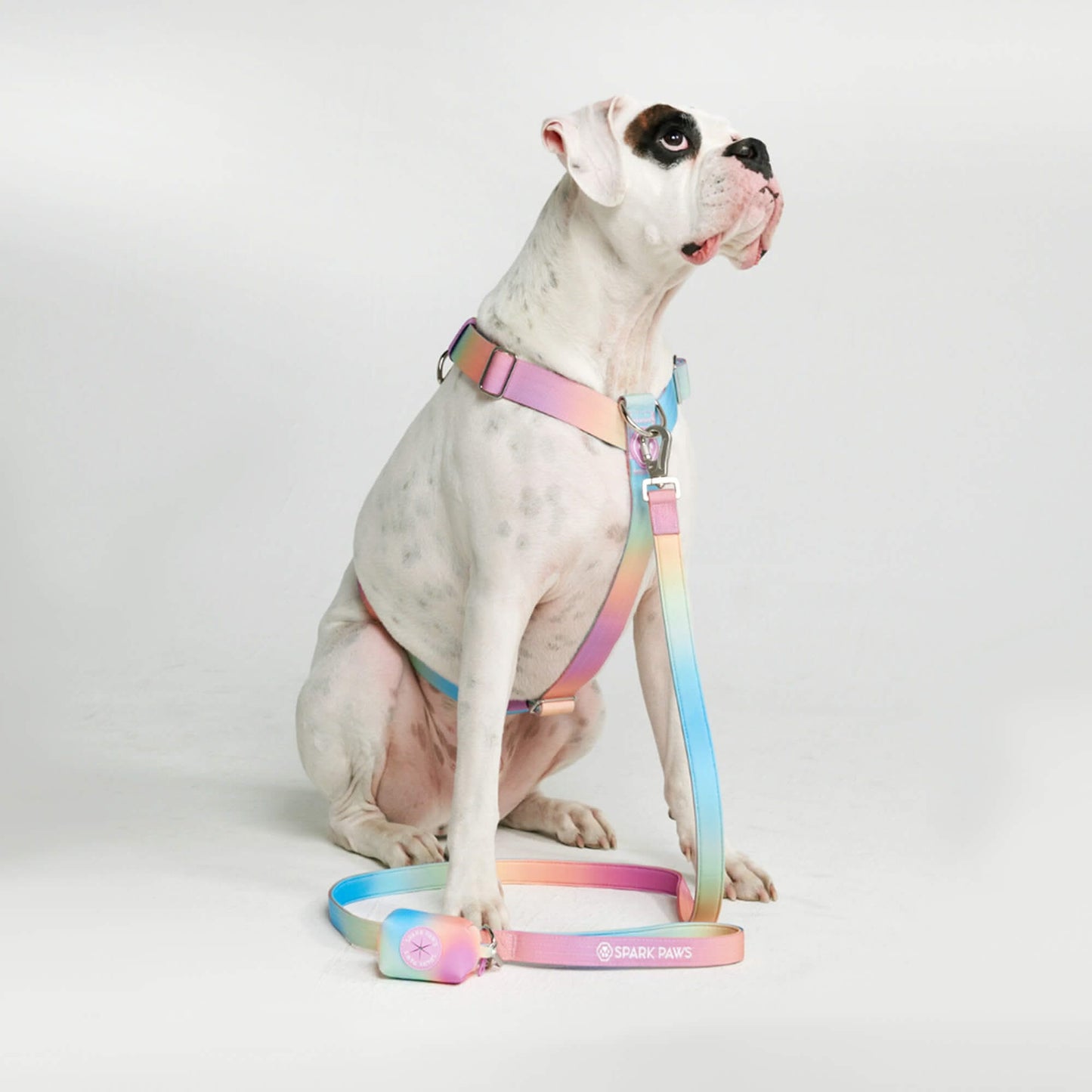 Comfort Control No-Pull Dog Harnesses